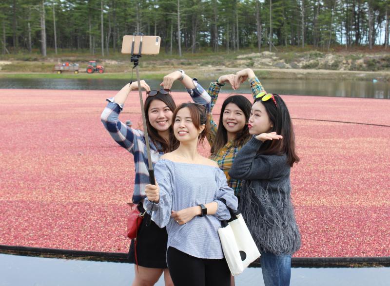 The 13th annual Cranberry Harvest Festival hosted by A.D. Makepeace attracted thousands of people from across the world and New Englamd, including (from left) Joyce Zhen, Lisa Heunng, Frida Chan and Emma Zhen all of Boston. Here, they take a selfie in front of a cranberry bog. BY MATTHEW BERNAT